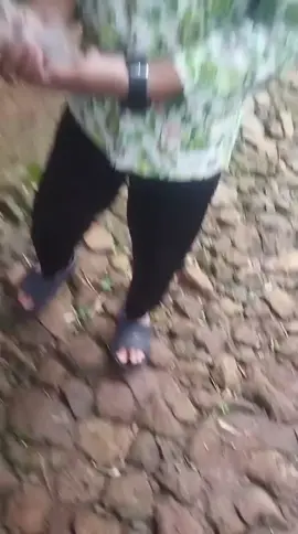 tiba2 pas antar pesanan pak suami Nemu hewan ini djln dbawah pohon bambu... kira2 ada yg tau gak ini hewan apa ??? #hewanlangka #pyfツ 