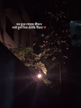 যত দুঃখ পেয়েছে জীবনে সবই বুকে নিয়ে হেঁটেছি নীরবে 💔 . #foryou #অপেক্ষা_🕊️ #bangladesh🇧🇩 #tiktok #foryou 