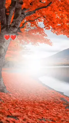 #Heeeeeeeeeeeeeeeey💔💔💔💔💔💔💔💔💔💔💔💔💔💔💔💔💔💔💔💔💔💔💔💔💔💔 