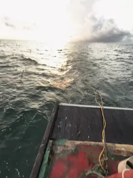 一万人宠爱，不等于一个懂人，一万个追求者，不等于一个爱人。 