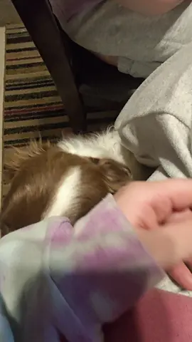 Riely boy 🫶🏼  #dogsoftiktok #dog #partner #viral #doglover #bordercollie #fypシ #bathtime 