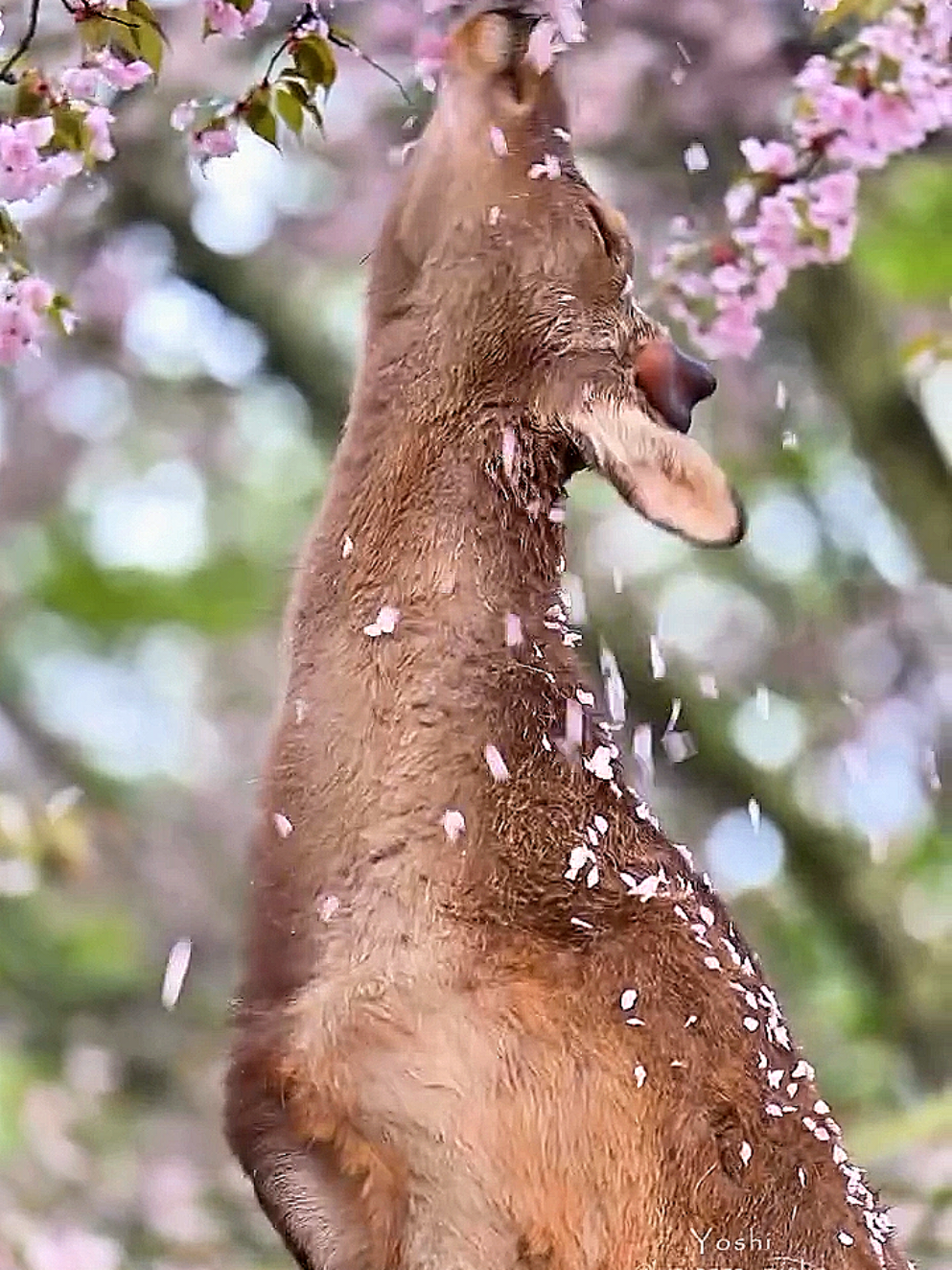 #islmic_video #pleasesupport🙏 #unfreezemyacount #groowmyaccount #trending 