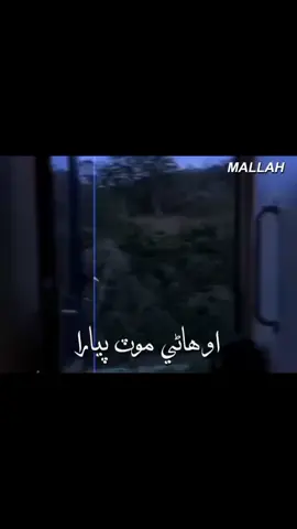 💔🥺🙌 •~ #100kviews #sindhistatus #sindhwale #foryou #🔐❤️🖇️ @𝘼𝘽𝘽𝘼𝙎 𝙈𝘼𝙇𝙇𝘼𝙃 @𝘼𝘽𝘽𝘼𝙎 𝙈𝘼𝙇𝙇𝘼𝙃 