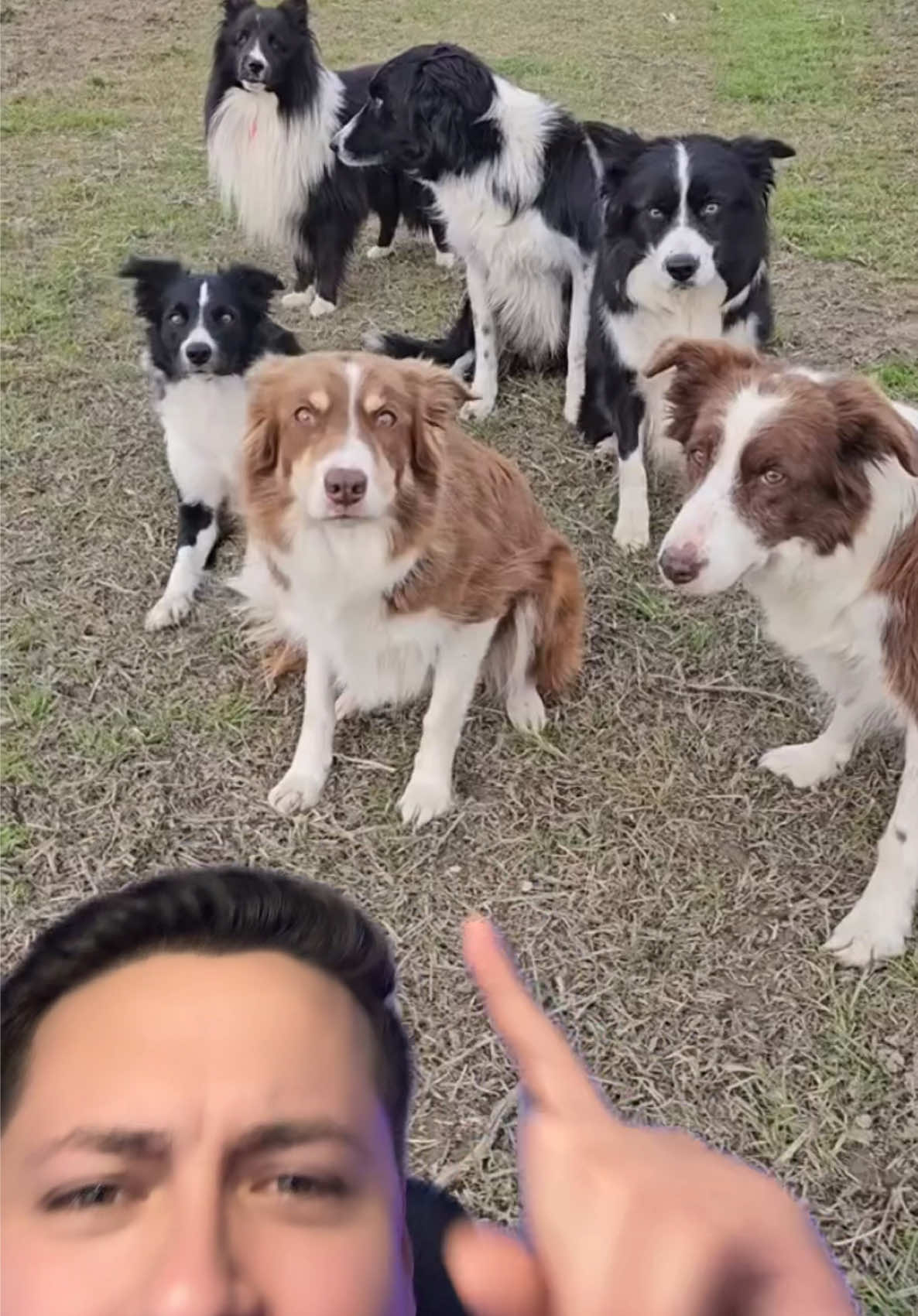 El otro perro ya no se la cree 😂😂 #antonyviews 