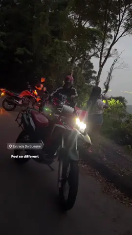 Rio de Janeiro!🍃 #floresta #rio #turimo #cidade #cidademaravilhosa 