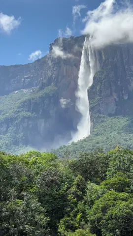 #angelfalls #canaima #venezuela #travel #fyp 