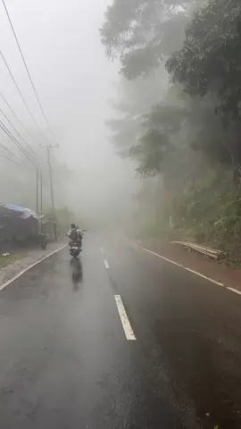 kabut malino #malino #fyp 