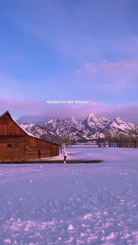 winter in the tetons is a dream 😭 #grandtetonnationalpark #wyoming 