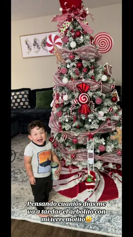 #navidad #miarbolito #😍😍 #🤩 #🎄 