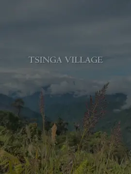 Bandara mulu tsinga 📍 Tuhan punya banyak cara untuk menyenangkan kita. Salah satunya adalah alam yang indah. Tinggal bagaimana kita bersyukur dan menikmatinya 🙌🏽😍 #bandaramulu #Lembahkabut #tsinga #papuaindah 