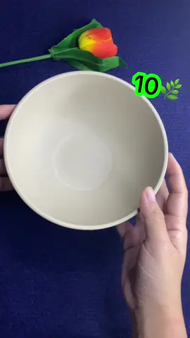 Kiểu dáng sang trọng mà còn không lo bể #tô #giadungtienich #xuhướng #ngaphamreview #taphoangapham 