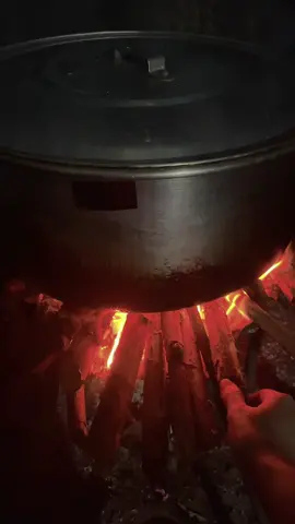 Tết🥰🌸#tet #xuhuongtiktok #xuhuong #nhactet #tetnguyendam2026 