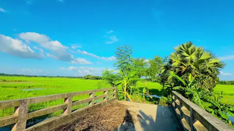 Sesh Kanna with ME |Use headphones for better sound quality I kmon hoiyace Video tahh? #sinamtic #cinematic #cinematic_video #vairal_video #fyp #song #sesh_kanna #foryou #sesh_kanna#sinamtic #cinematic #sinamtic 