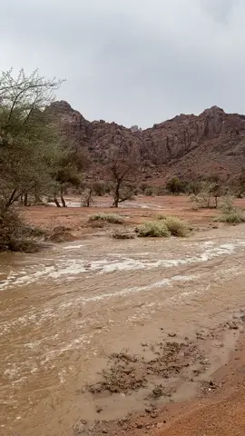 خايلت برقً لاح قلبي معه لاح✨.               #حايلندا #نايلات 