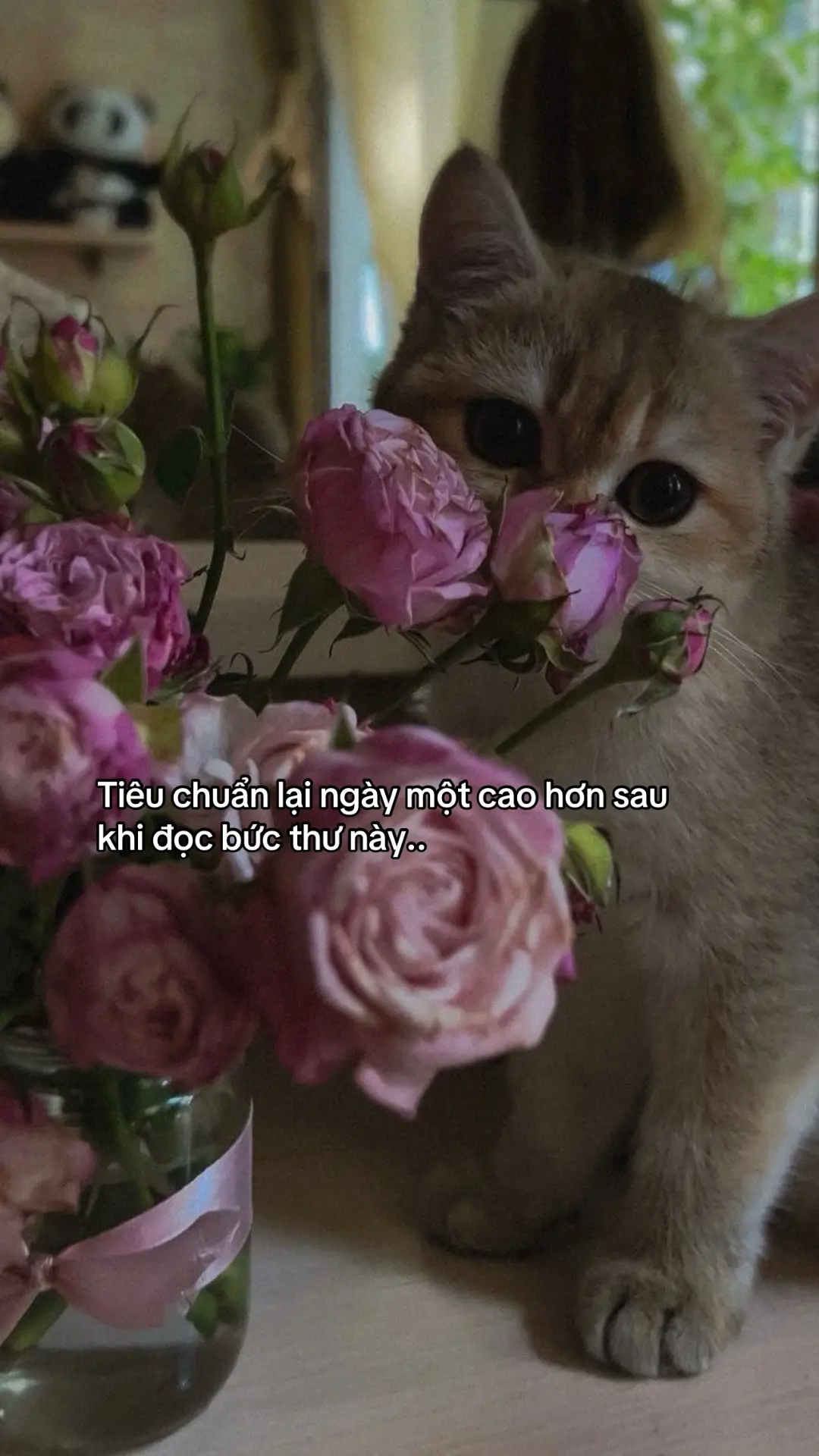 #tinhyeuthoichien #thuongtuongvulang #fyp 