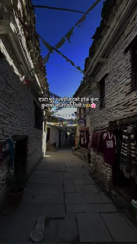 एउटा मुटु र त्यही मुटुको हरेक कुना कुनामा सजिएको तिमी !!🫶🌸 #fyp #nepalistatus #lovelines 