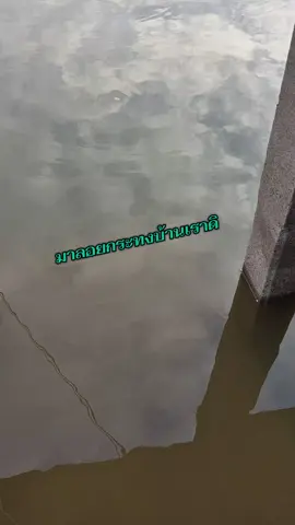 #สไปรท์บางปรอง  #นครสวรรค์เมืองเด็ด  #ลอยกระทง25678 