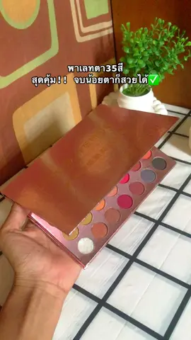 #พาเลทตา #อาเเชโดว์ #พาเลทตา35สี 