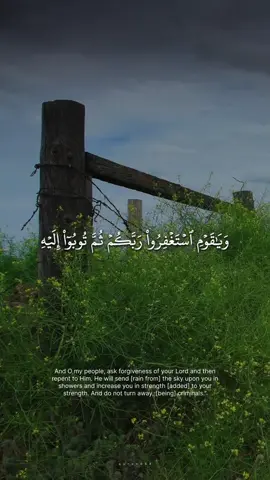 #ذكر_الله #القران #اكتب_شي_توجر_عليه #القران_الكريم #تلاوات 