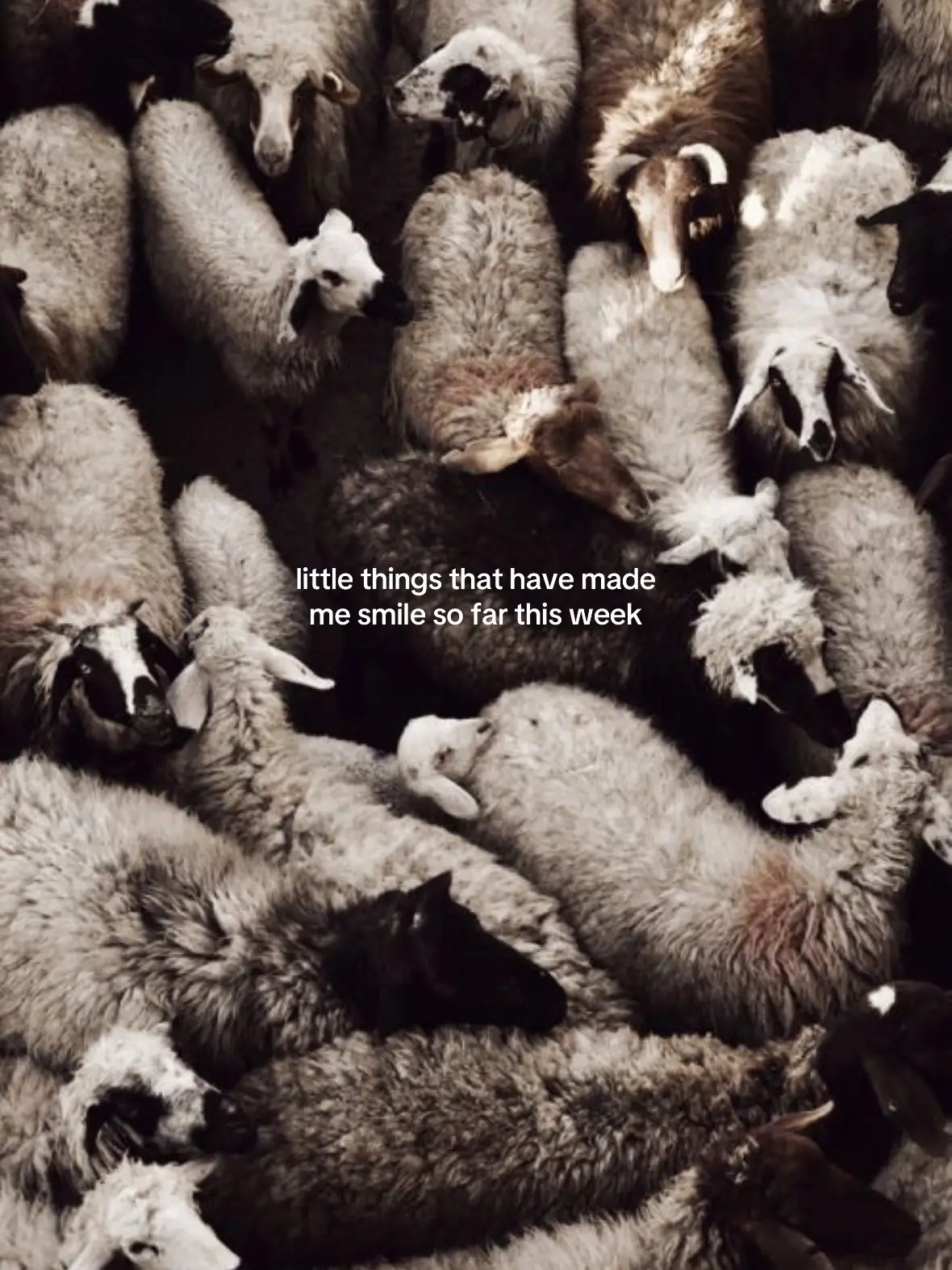 Our entire life is made up of these small moments. Don’t let it pass you by.  Now get off social media and be present ✌🏼 #motherhoodunplugged 