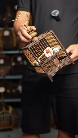 lồng chim khuyên, lồng chim hút mật, lồng chim ốc mít, lồng sâu đầu đỏ #toiyeuchimcanh #chimcanhvietnam #longchimocmit #longchimhutmat #longchimkhuyen 