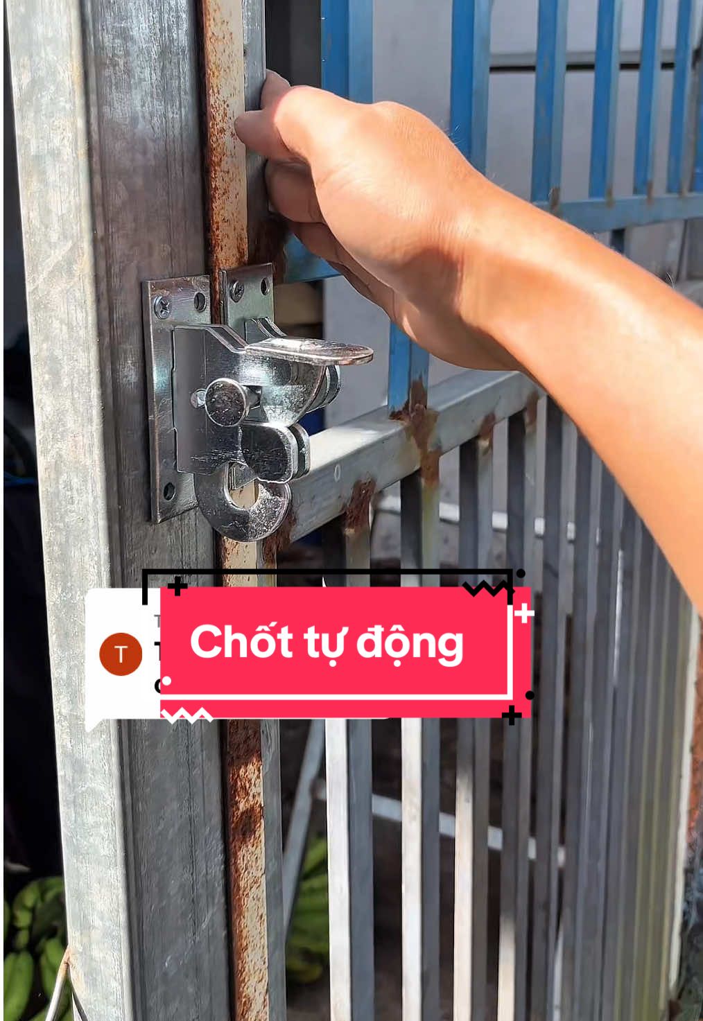 Trả lời @TìNH đây nha a, chuộng heo chuồng gà đều ok hết nhé #ngoclamshop60 #suachuanhacua #chotcuatudong 