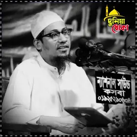 🗣️🎙️◉◉◉◉◉◉🌺࿐✿💠—বয়স্ক মানুষ ও তো এ কথা বলে...👳🌼🌿 #আনিসুর_রহমান_আশরাফী💖💖 #ইসলামিক_ভিডিও_🤲🕋🤲 #islamic_video #vairalvideo #tiktokbangladesh🇧🇩 