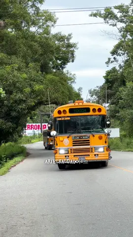 Bellezas de Blue Bird All American de Servicio Turismo 😮‍💨😎😎 #pasionporlosbuses #arielpasionporlosbuses #busesdehonduras🇭🇳 #bluebirdallamerican #turismo 