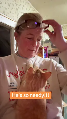 #catsoftiktok #orangetabbiesoftiktok #cats 