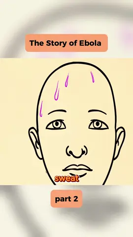 The Story of Ebola#fyp#viral#usa
