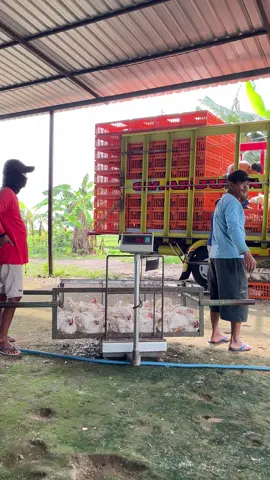 Info + info = muat ., #fyp #xyzbca #trukayam #blackhoegroup 