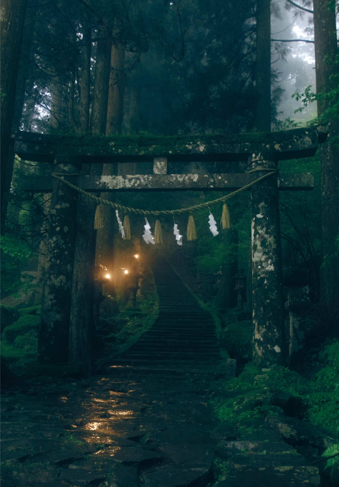 雨の日の神社☔