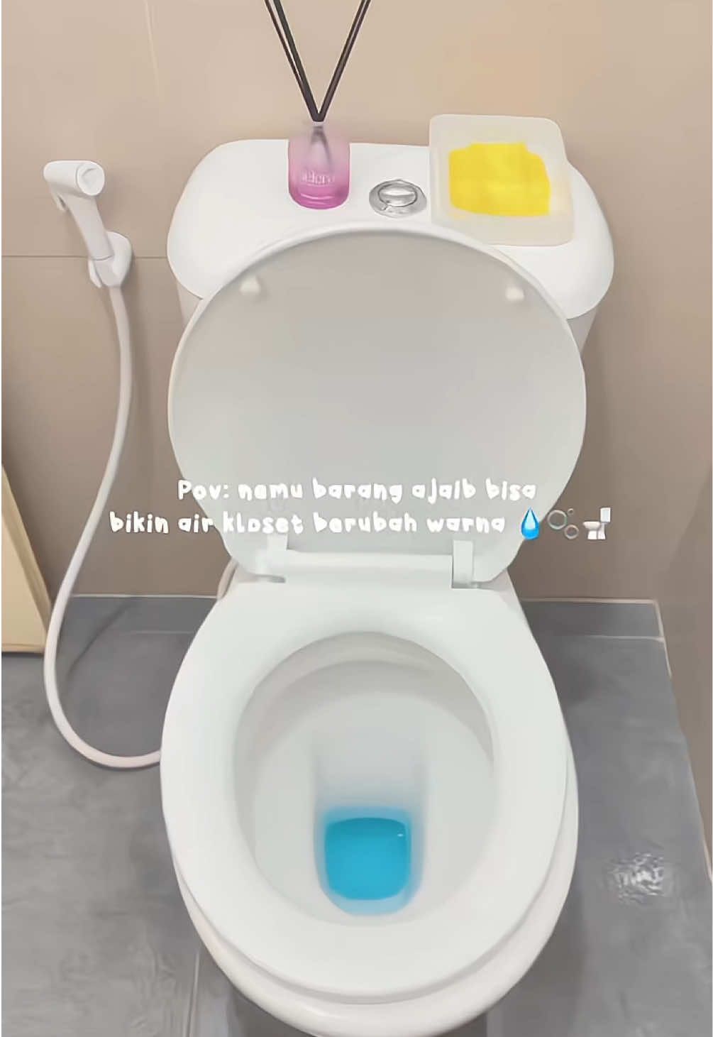 Si biru yang bisa usir bau 💧#bebekintank #cleaning #pewangikloset #dailylife 