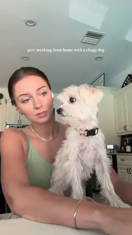 Don’t judge her she needs a haircut 😭 #clingypet #fup #nexttome #viral #trending #fyp #clingydog #relateable 