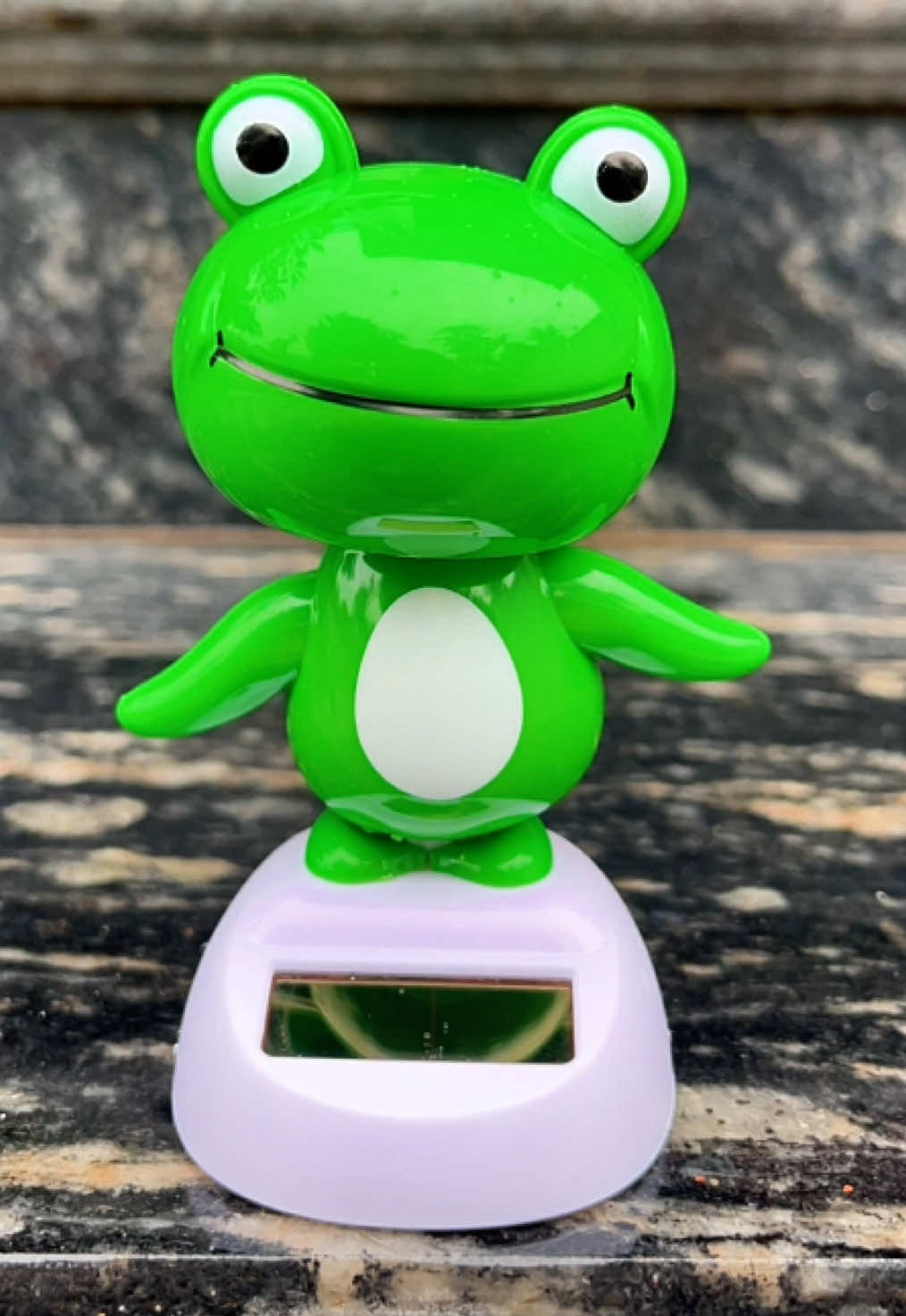 Đồ chơi ếch xanh nhảy múa chạy bằng năng lượng mặt trời #echnhaymua #dochoivotri #review #xuhuong  @Cá Béo Tạp Hoá 