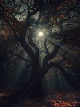 #روائعالقرآنالكريم 