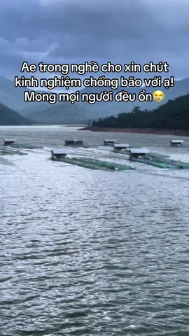 Mong cơn bão 13 nhẹ nhàng với người dân miền Trung😭😭#cadieuhong #bao13 