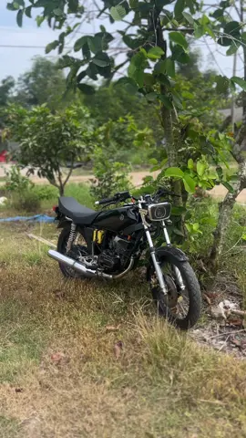 🍂🥀#rxking135cc #bandungstyle #rxkingindonesia #rxkingnusantara #fypage 