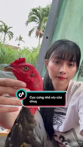 Cục cưng nhỏ bé của chuỵ🫶@Gachoidieulanh.com @╰❥𝔻𝕚ệ𝕦♥𝕃𝕒𝕟𝕙♥𝔹ả𝕪♥𝕋á𝕞 