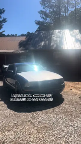 might have dug my grave for this one 👀🫣 #seether #ford #mississippi #auto #s197 