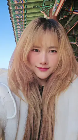 🥰 #ฟีดดดシ #คนไทยในเกาหลีใต้🇹🇭🇰🇷 #เที่ยวคนเดียว 