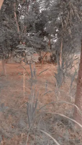 @Imran Khan Official @سنی چانڈیہ🥷 