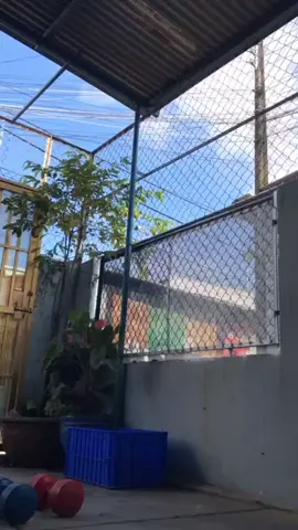 1 buổi tập bổ trợ vào giữa tuần 🥰#chaybothoinao #runner #marathonrunner #runnertiktok #suckhoechomoinguoi 