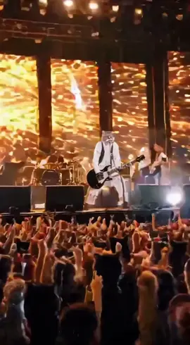 fur, feedback, and full-send chaos 😼⚡🎸🔥 #rocknight #catmosphere #stageenergy #reellife