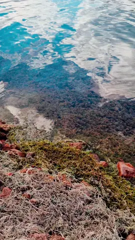 #Argentina #montañas #naturaleza 