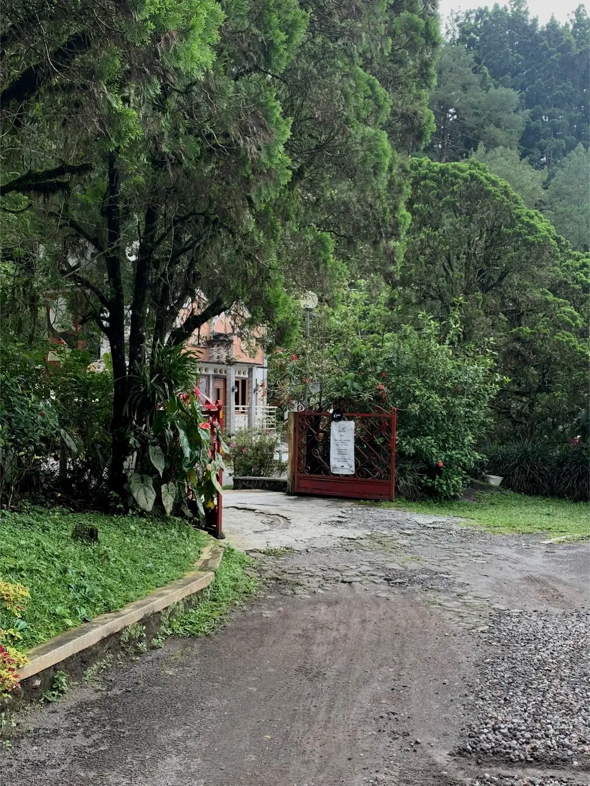 🪴 #jogja #kaliurang 