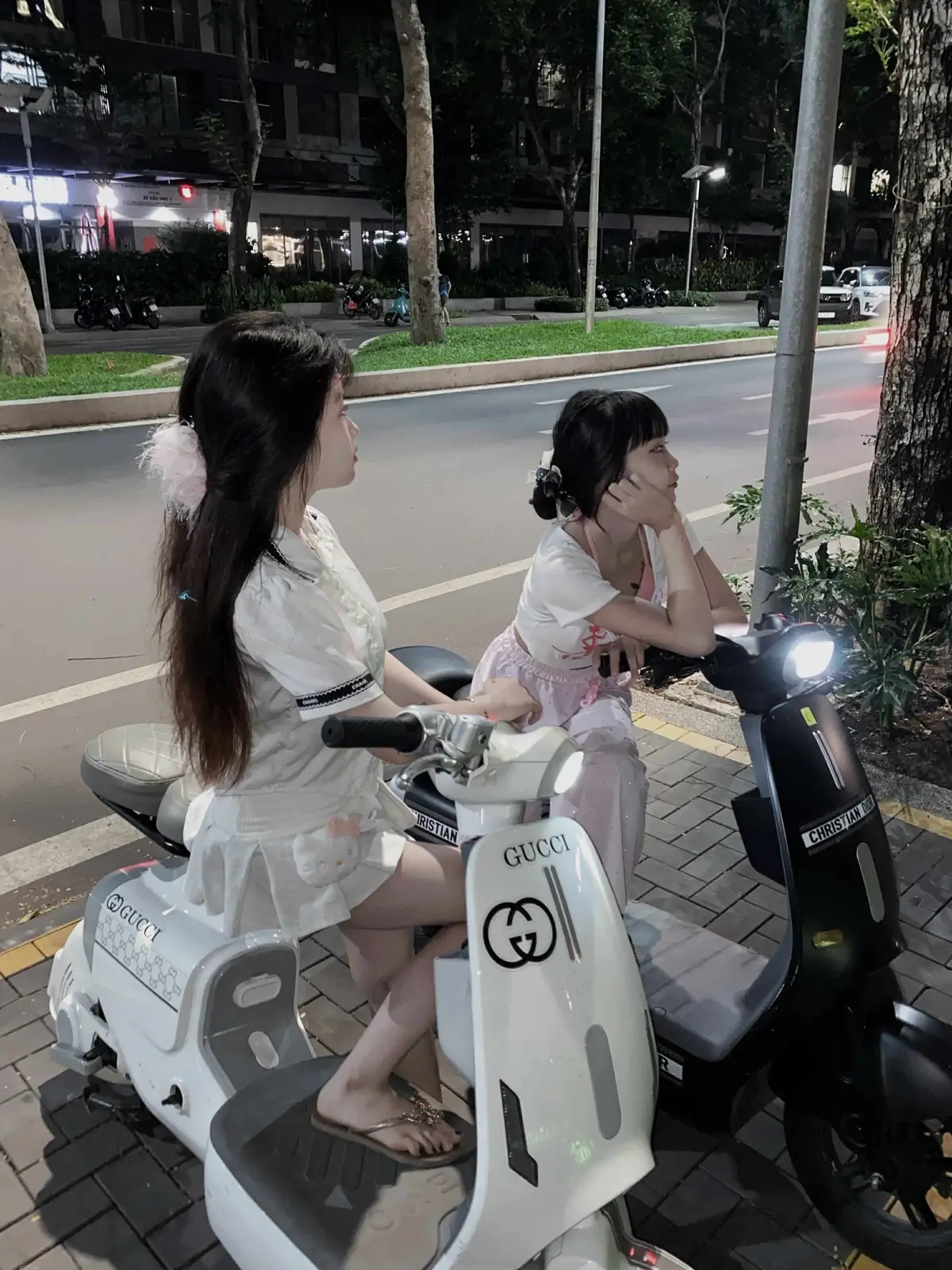 Cuộc đời t mắc 2 sai lầm 1 là quá coi trọng lũ chó tụi bây 2 là xem thường người thương t