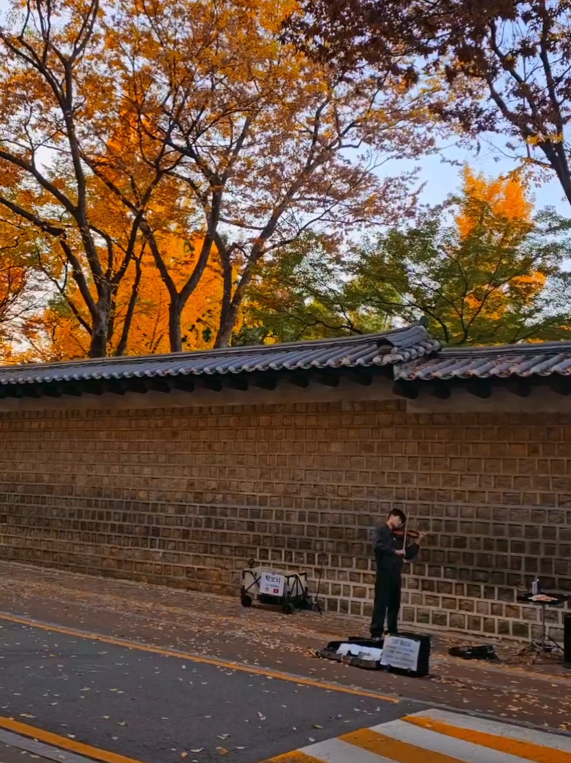 #CapCut  The place is in Deoksugung Stone-Wall walkway and it is famous for K-drama filming location most notably for the drama Goblin  This video taken on November 10,2024  #Philippines #public #korea #seoul 
