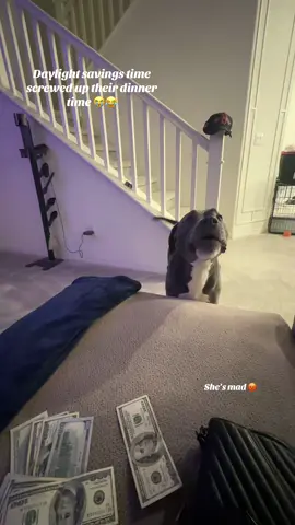 Their internal clock is on point 👌 #hahaha 