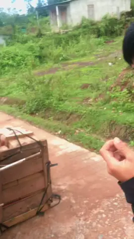 #xuhuongtiktok #fyp #tintuc 